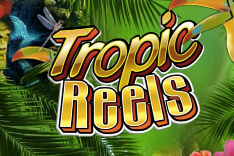 Tropic Reels