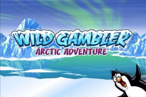 Wild Gambler Arctic Adventure