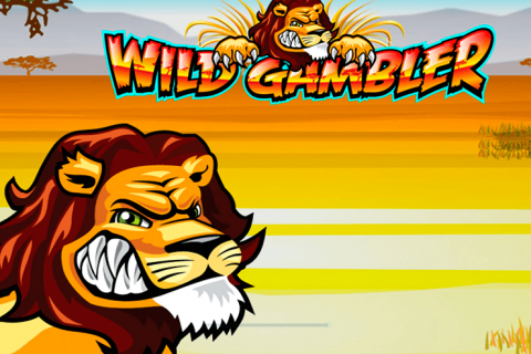wild gambler online slot ash gaming